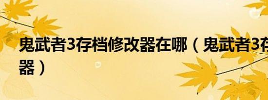 鬼武者3存档修改器在哪（鬼武者3存档修改器）