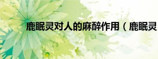 鹿眠灵对人的麻醉作用（鹿眠灵）