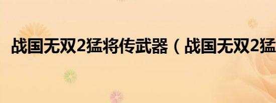 战国无双2猛将传武器（战国无双2猛将传）