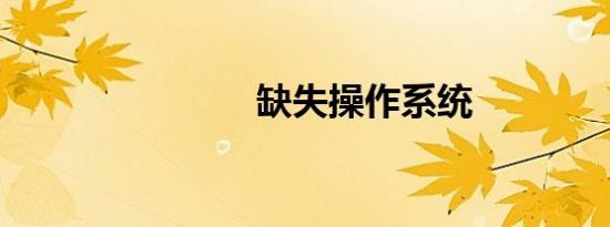 缺失操作系统