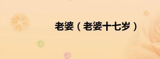 老婆（老婆十七岁）