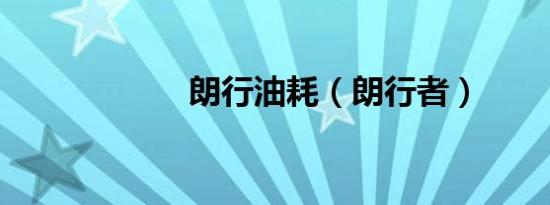 朗行油耗（朗行者）