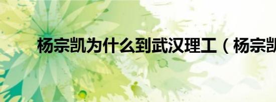 杨宗凯为什么到武汉理工（杨宗凯）
