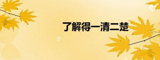 了解得一清二楚