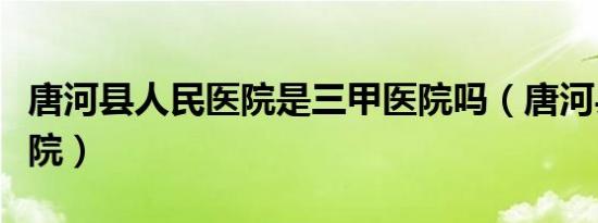 唐河县人民医院是三甲医院吗（唐河县人民医院）