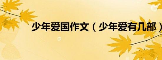 少年爱国作文（少年爱有几部）