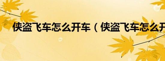 侠盗飞车怎么开车（侠盗飞车怎么开车）