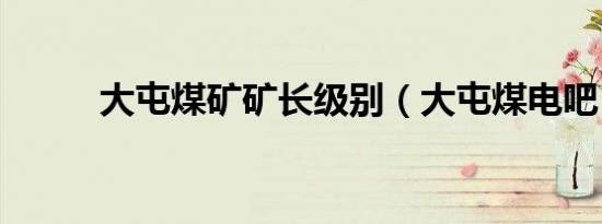 大屯煤矿矿长级别（大屯煤电吧）