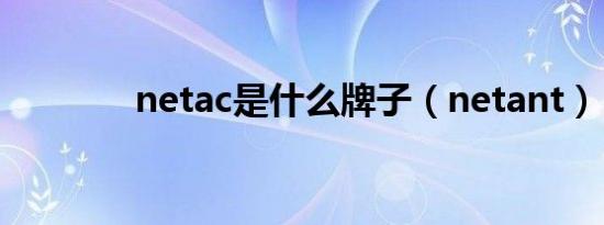 netac是什么牌子（netant）