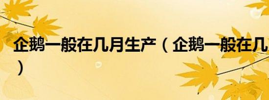 企鹅一般在几月生产（企鹅一般在几月份产卵）