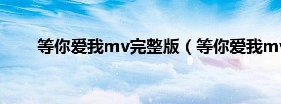 等你爱我mv完整版（等你爱我mv）