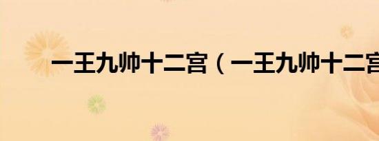 一王九帅十二宫（一王九帅十二宫）