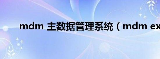 mdm 主数据管理系统（mdm exe）
