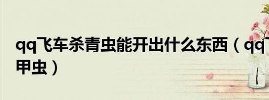 qq飞车杀青虫能开出什么东西（qq飞车杀戮甲虫）
