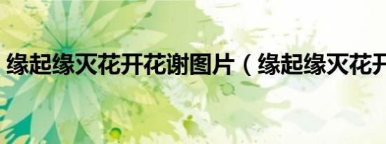 缘起缘灭花开花谢图片（缘起缘灭花开花谢）