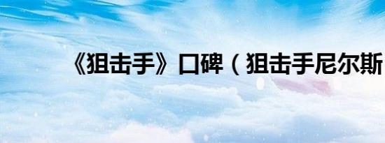 《狙击手》口碑（狙击手尼尔斯）