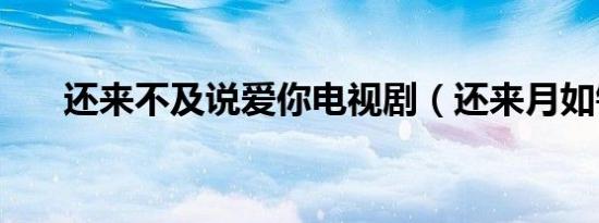 还来不及说爱你电视剧（还来月如钩）