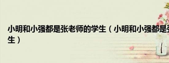 小明和小强都是张老师的学生（小明和小强都是张老师的学生）
