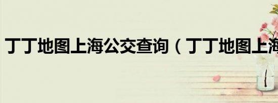 丁丁地图上海公交查询（丁丁地图上海公交）