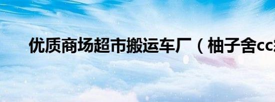 优质商场超市搬运车厂（柚子舍cc霜）