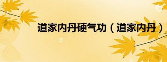 道家内丹硬气功（道家内丹）