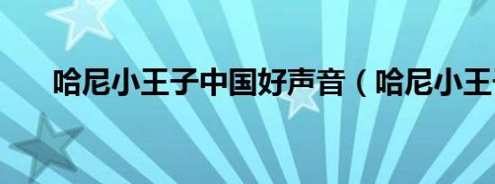 哈尼小王子中国好声音（哈尼小王子）