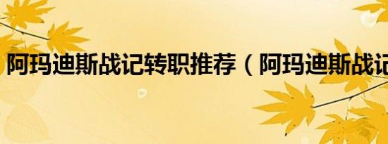 阿玛迪斯战记转职推荐（阿玛迪斯战记转职）