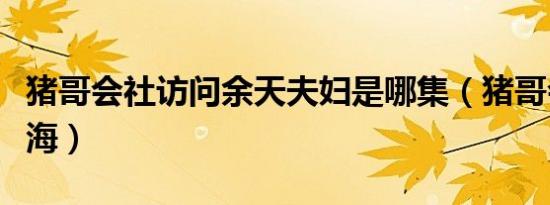 猪哥会社访问余天夫妇是哪集（猪哥会社飞轮海）