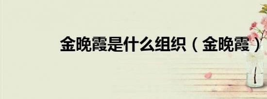 金晚霞是什么组织（金晚霞）