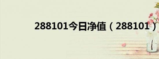 288101今日净值（288101）