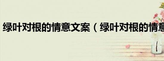 绿叶对根的情意文案（绿叶对根的情意伴奏）