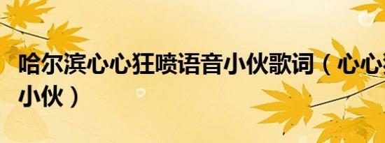 哈尔滨心心狂喷语音小伙歌词（心心狂喷语音小伙）