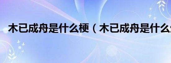 木已成舟是什么梗（木已成舟是什么生肖）