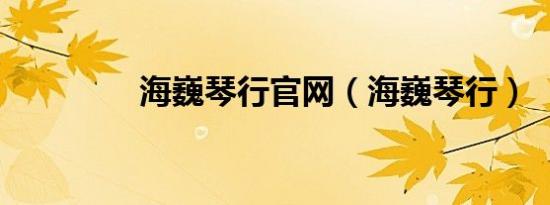 海巍琴行官网（海巍琴行）