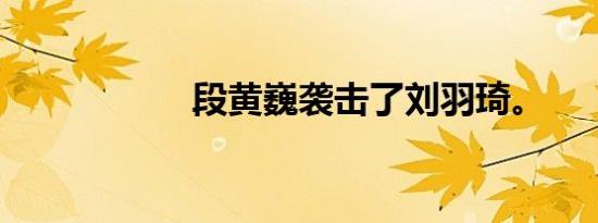 段黄巍袭击了刘羽琦。