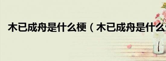 木已成舟是什么梗（木已成舟是什么生肖）