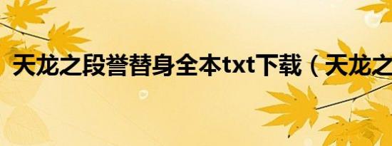 天龙之段誉替身全本txt下载（天龙之无痕）