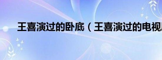 王喜演过的卧底（王喜演过的电视剧）
