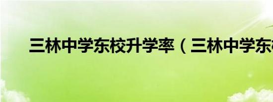 三林中学东校升学率（三林中学东校）