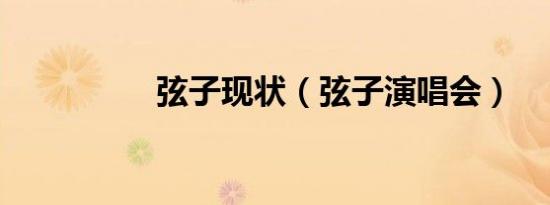 弦子现状（弦子演唱会）