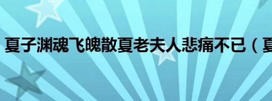 夏子渊魂飞魄散夏老夫人悲痛不已（夏子渊）