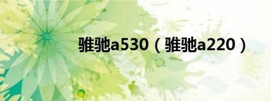 骓驰a530（骓驰a220）
