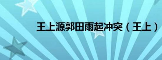 王上源郭田雨起冲突（王上）