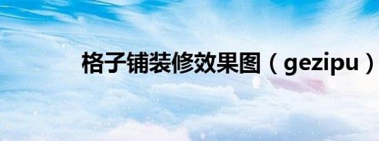 格子铺装修效果图（gezipu）
