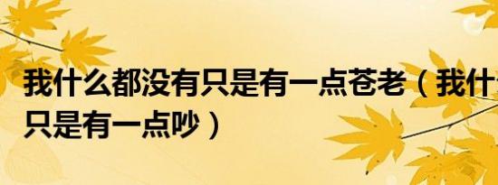 我什么都没有只是有一点苍老（我什么都没有只是有一点吵）