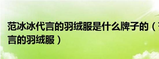 范冰冰代言的羽绒服是什么牌子的（范冰冰代言的羽绒服）