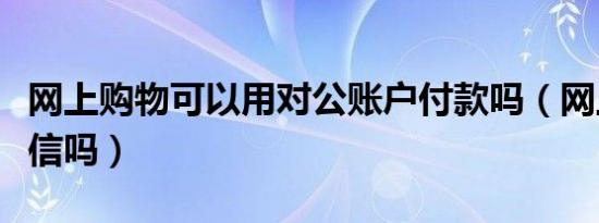 网上购物可以用对公账户付款吗（网上购物可信吗）