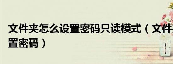 文件夹怎么设置密码只读模式（文件夹怎么设置密码）