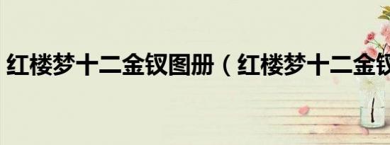 红楼梦十二金钗图册（红楼梦十二金钗攻略）