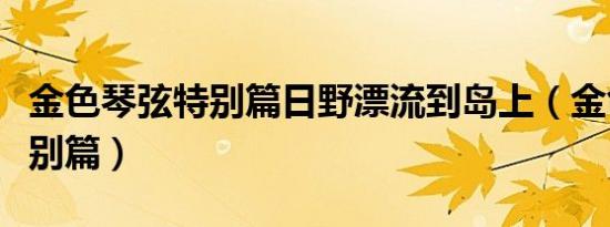 金色琴弦特别篇日野漂流到岛上（金色琴弦特别篇）